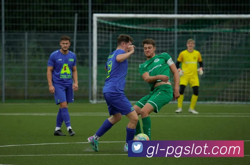 森林舞会官网发展历程